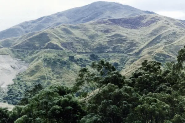 Cerro de las Tres Cruces: Un Paseo Escénico para Disfrutar con tu Mascota en Medellín