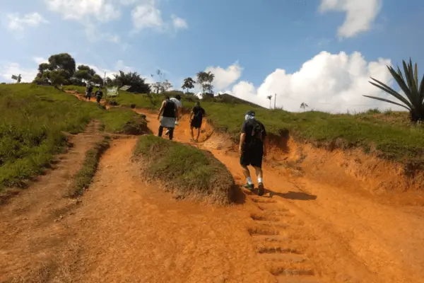 Cerro de las Tres Cruces: Un Paseo Escénico para Disfrutar con tu Mascota en Medellín