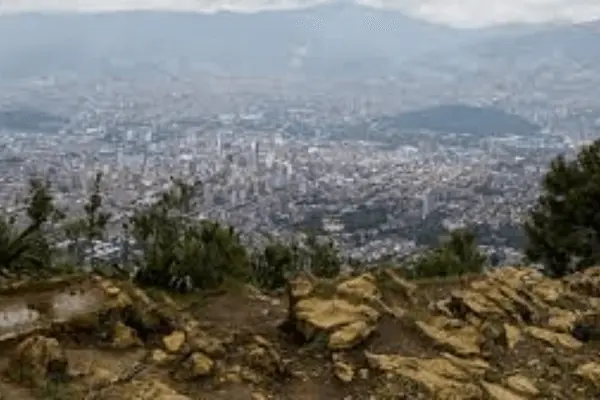 Explorando el Cerro Pan de Azúcar con tu Mascota