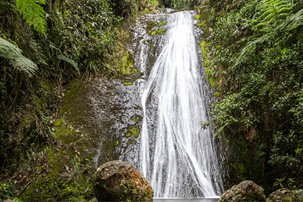 Camping Río Frío Támesis: Naturaleza, Aventura y Mascotas