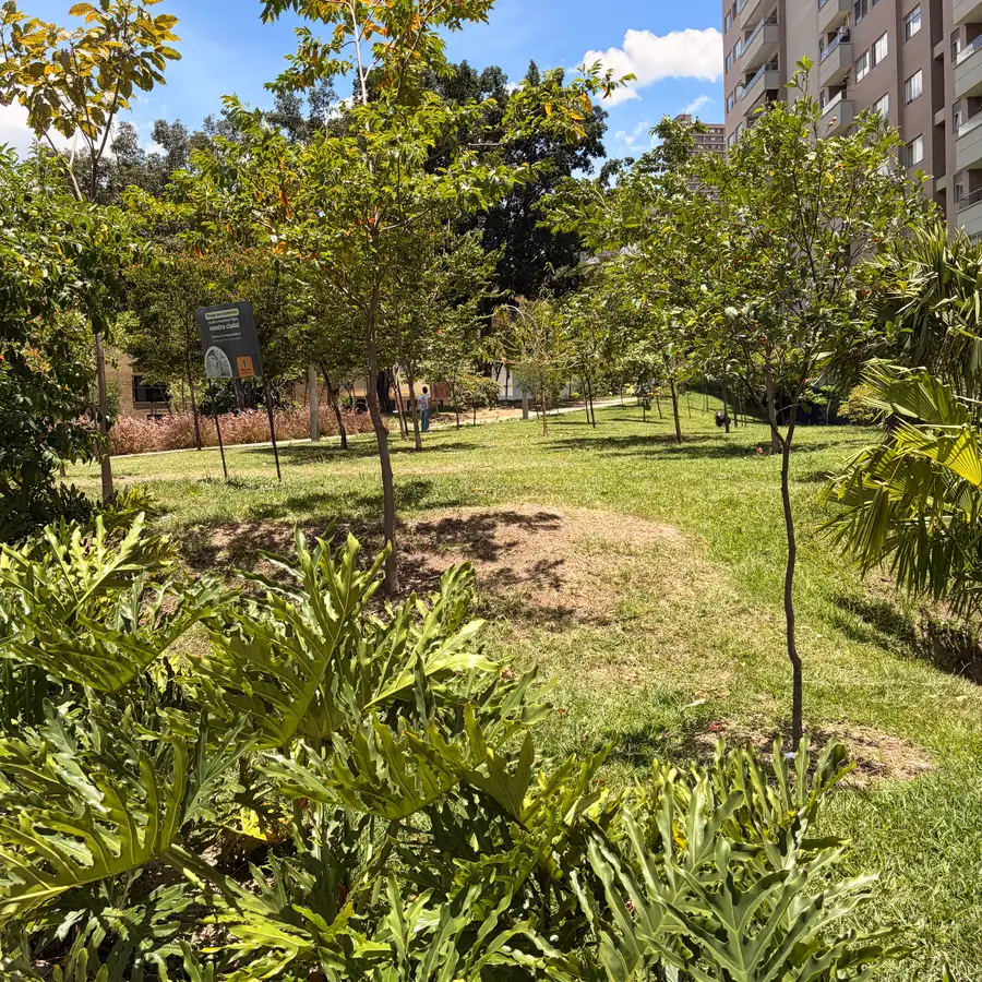 Jardineras con plantas grandes al pie de la loma