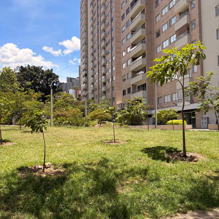 La loma de pasto con las torres de Acuarela del Parque detrás