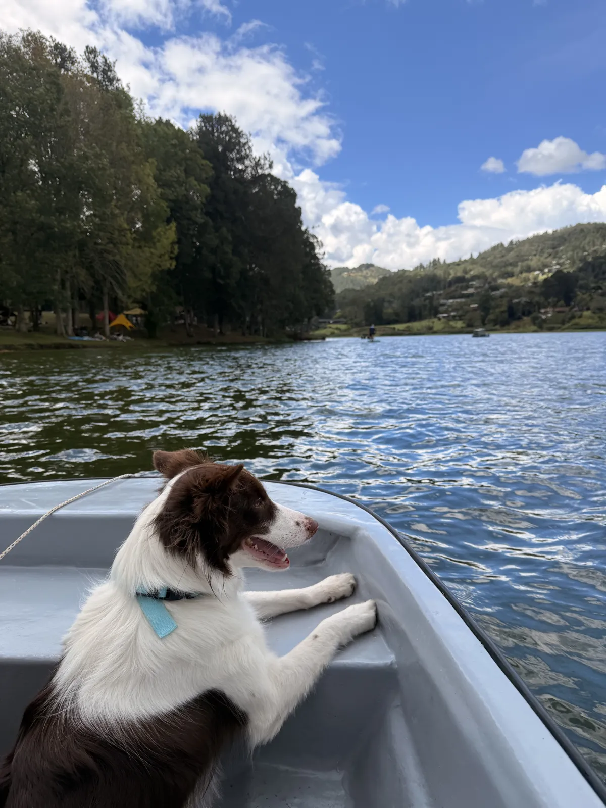 La represa de La Fe con cielo azul y nubes desde el agua