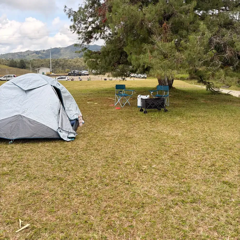 Carpa, sillas y nevera a la sombra del pino grande